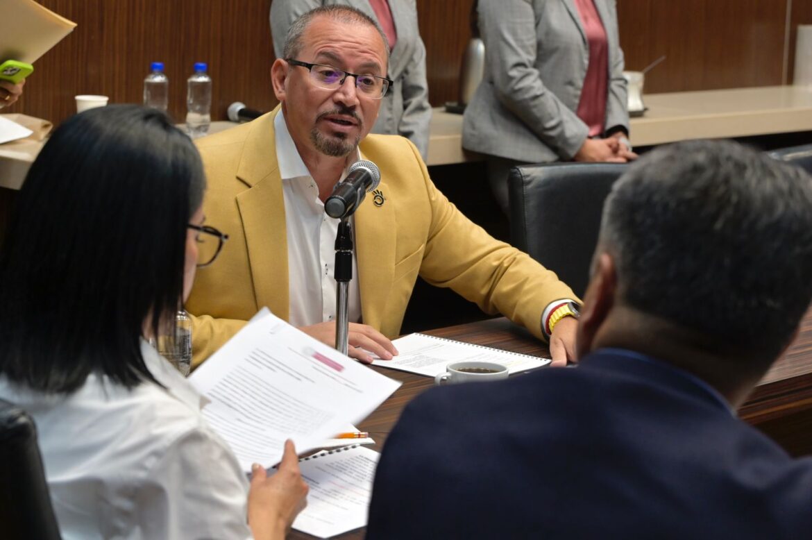 Analizan uso legal de gases y armas electrónicas para defensa personal