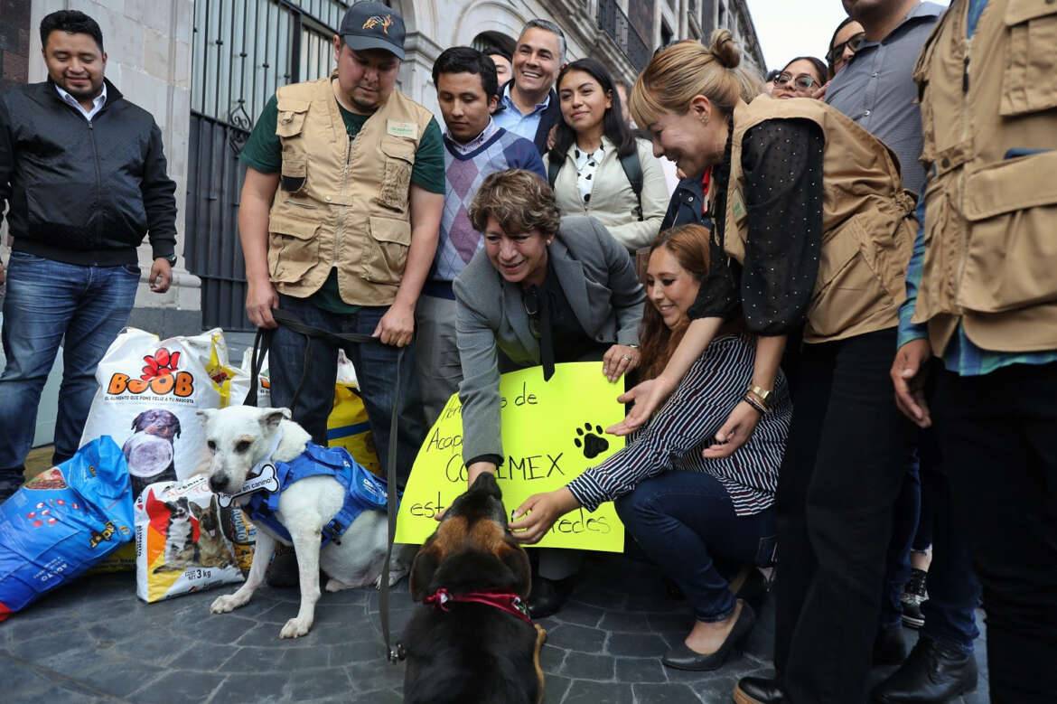 La Gobernadora Delfina Gómez enviará alimento para las mascotas afectadas por el huracán Otis