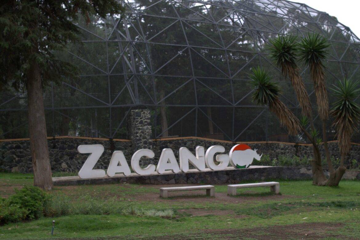 Diversión y aprendizaje ofrece el Parque Ecológico Zacango en su Curso de Verano 2024