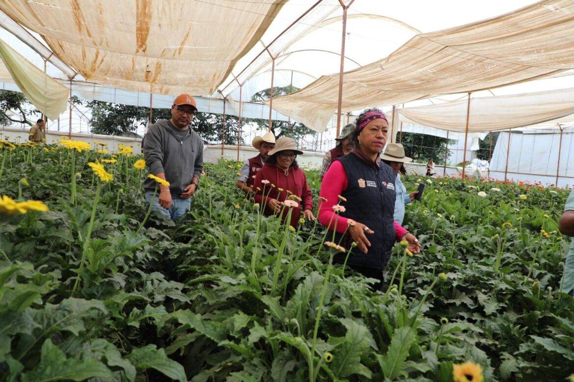 Secretaría del Campo activa apoyos para invernaderos y piscicultores mexiquenses ante fenómenos climatológicos