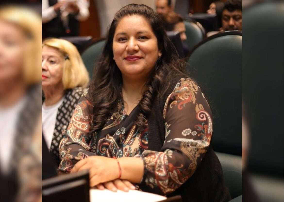 Beatriz García exhorta investigar el asesinato de dos activistas ambientales en la Región de los Volcanes