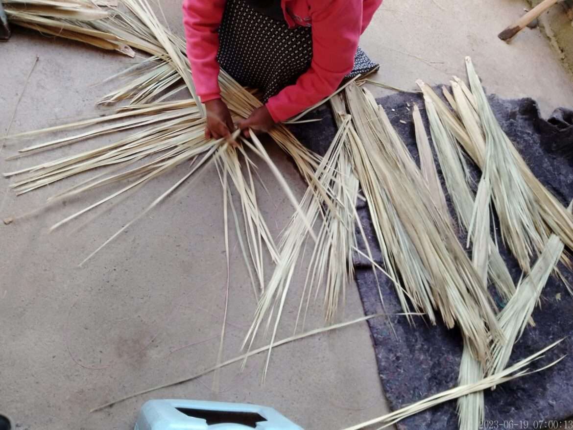 Elaboran artesanías de fibras vegetales en Tenango del Aire