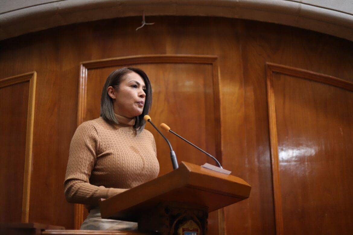 Legislatura debe saldar deuda social por violencia a mujeres: Yesica Rojas