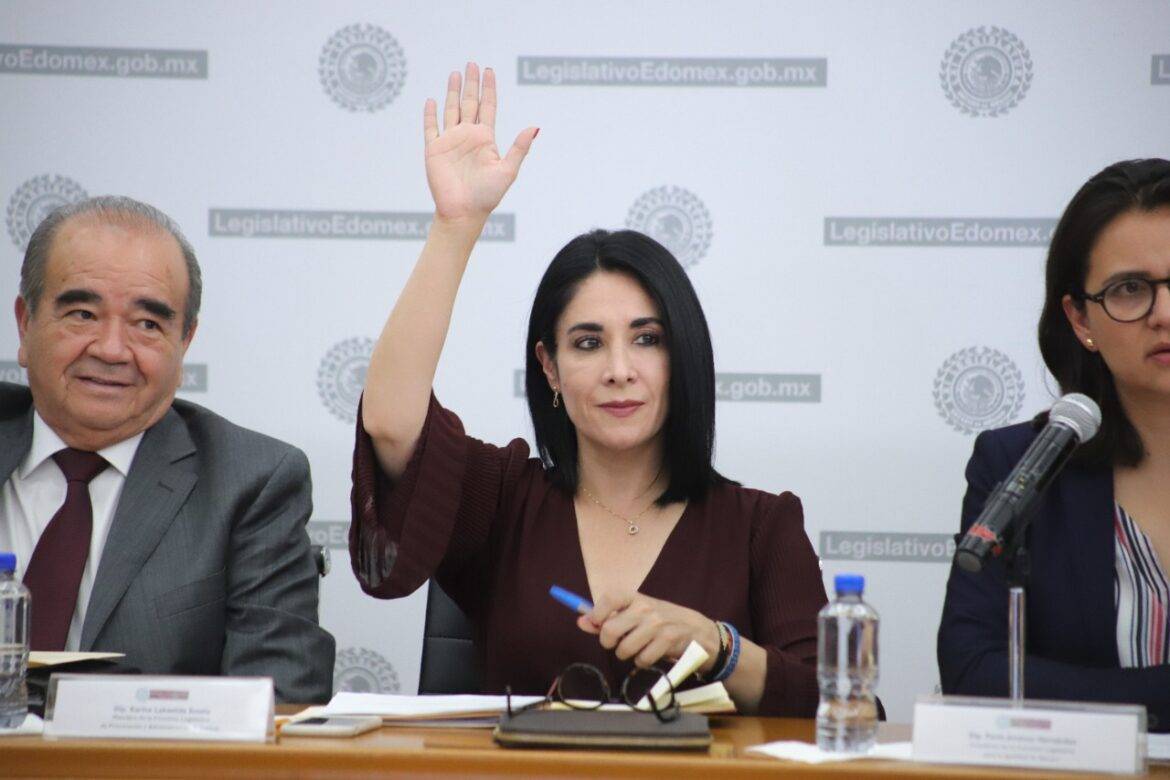 Necesario implementar Operativos con Perspectiva de Género en transporte público: Karina Labastida