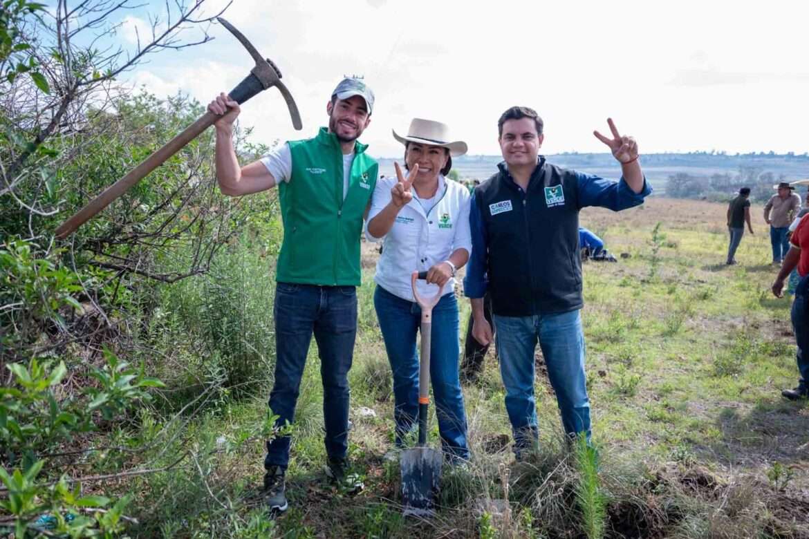 Arranca PVEM mega reforestación Verde en el norte del Edoméx