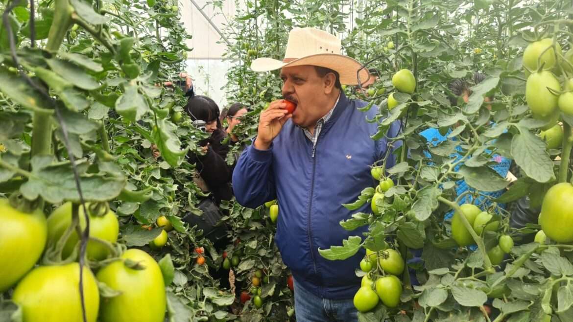 Reinauguran invernadero HortaDif en Calimaya